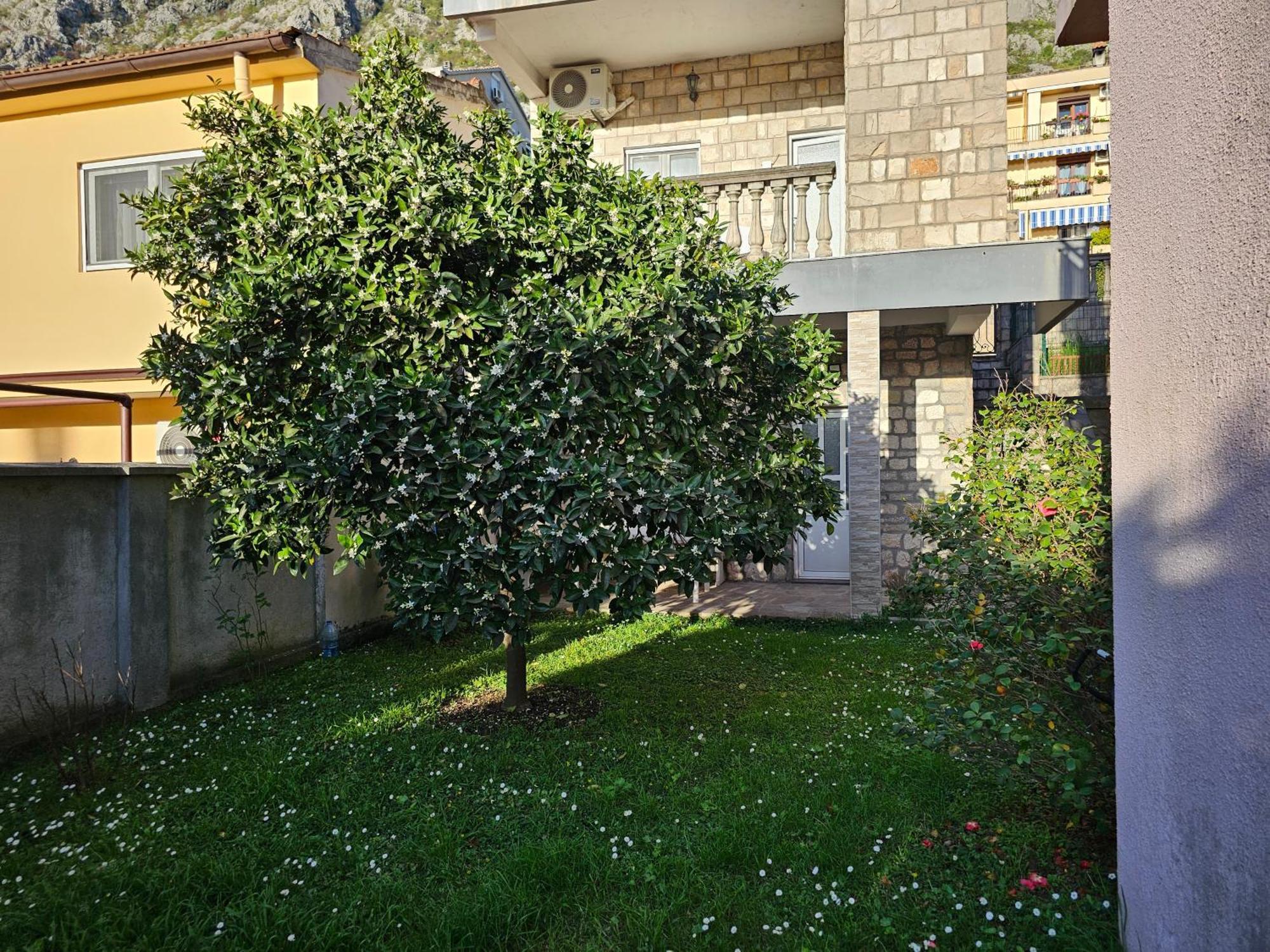 Modern Seaside Escape - Stunning Sea View - Private & Stylish Apartment Kotor Exterior foto